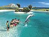 Swim with dolphins in Hawaii Swim with dolphins in Hawaii